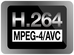 H.264/MPEG-4 AVC