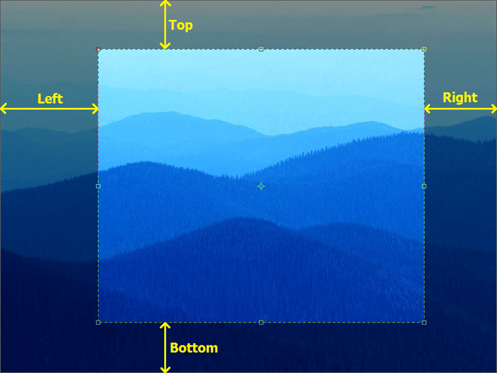 crop video without watermark online crop video without watermark online